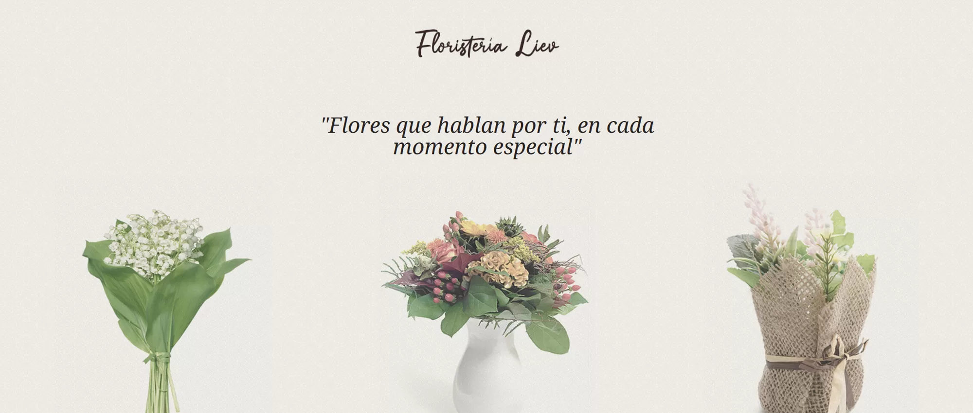 cover-floristeria-liev-onepage-portafolio